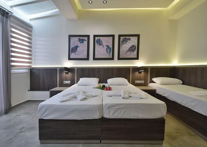 Dafni 4*
