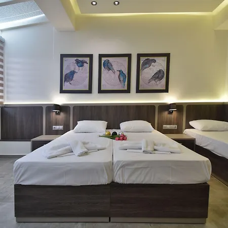 Dafni 4*